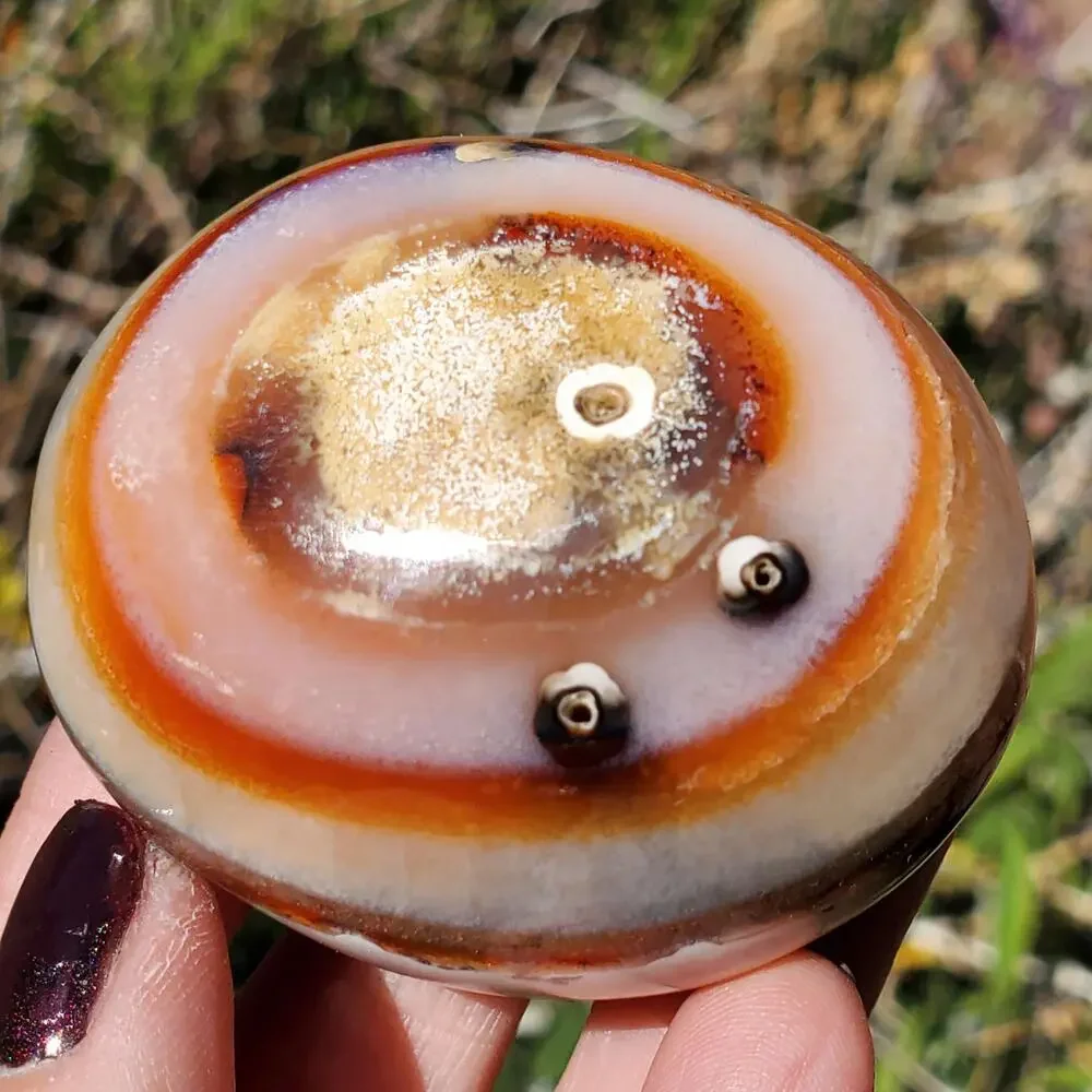 Eyes on Back Orca Agate Carnelian Stone Crystal UNIQUE Palmstone 180 grams